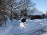 Winter 2010