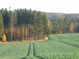Herbst 2008