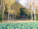 Herbst 2008