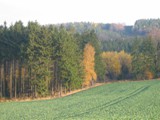 Herbst 2008