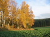 Herbst 2008