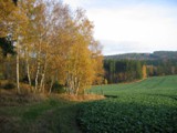 Herbst 2008