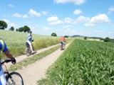 picture-0032