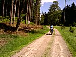 das ca. 9 km lange Haselbachtal rauf nach Reitzenhain